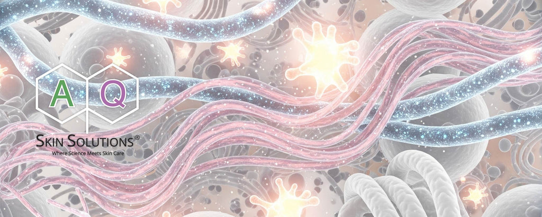 他の有効成分と何が違う？なぜ「成長因子」こそが必須なのか