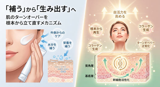 「補う」から「生み出す」へ。肌のターンオーバーを根本から立て直すメカニズム