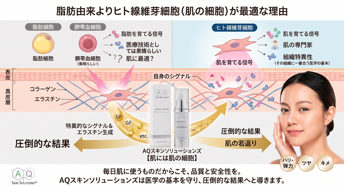 脂肪由来や臍帯血由来じゃない！肌には「肌の細胞（線維芽細胞）」が最適な理由