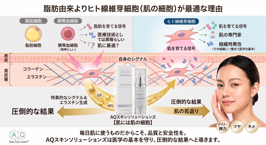 脂肪由来や臍帯血由来じゃない！肌には「肌の細胞（線維芽細胞）」が最適な理由