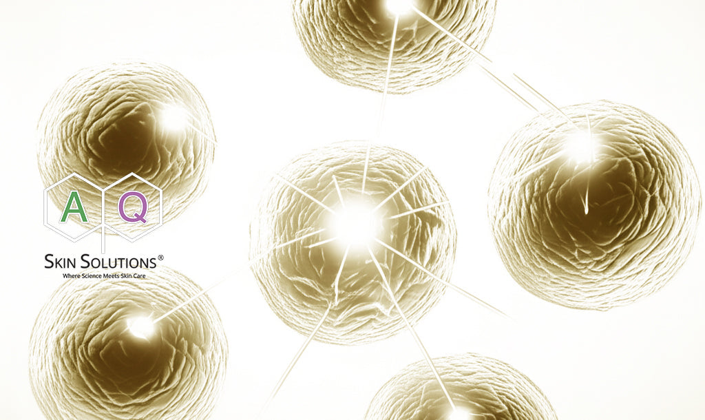 当てずっぽうではなく科学を：AQスキンソリューションズが目指す「真の美と健康」